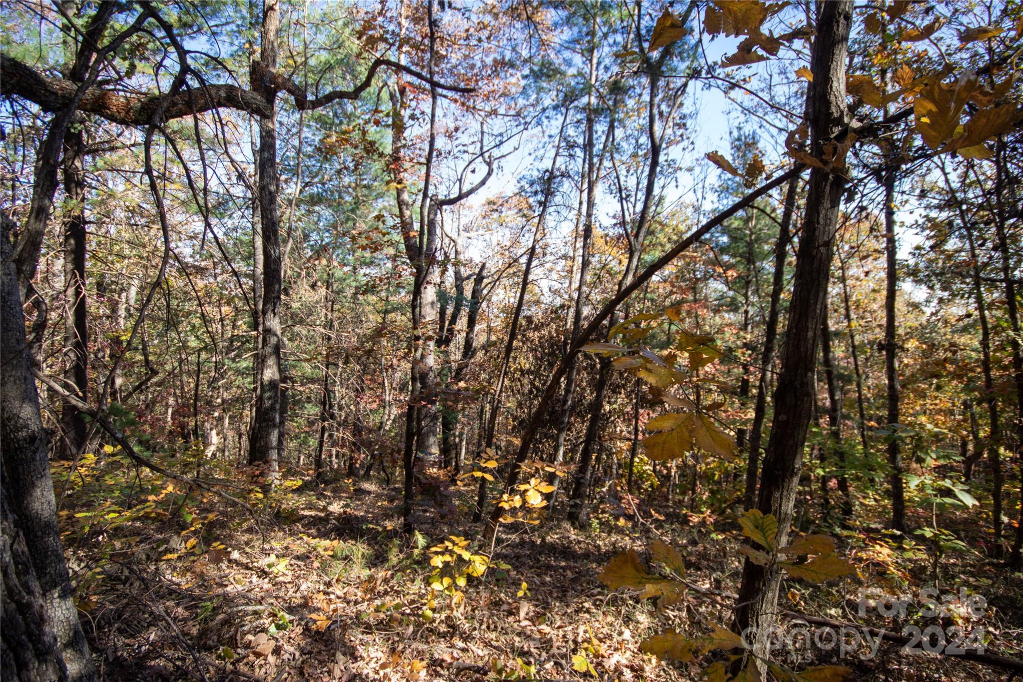 Lot at 22 Hackberry Road, Connelly Springs, photo 12 of 38