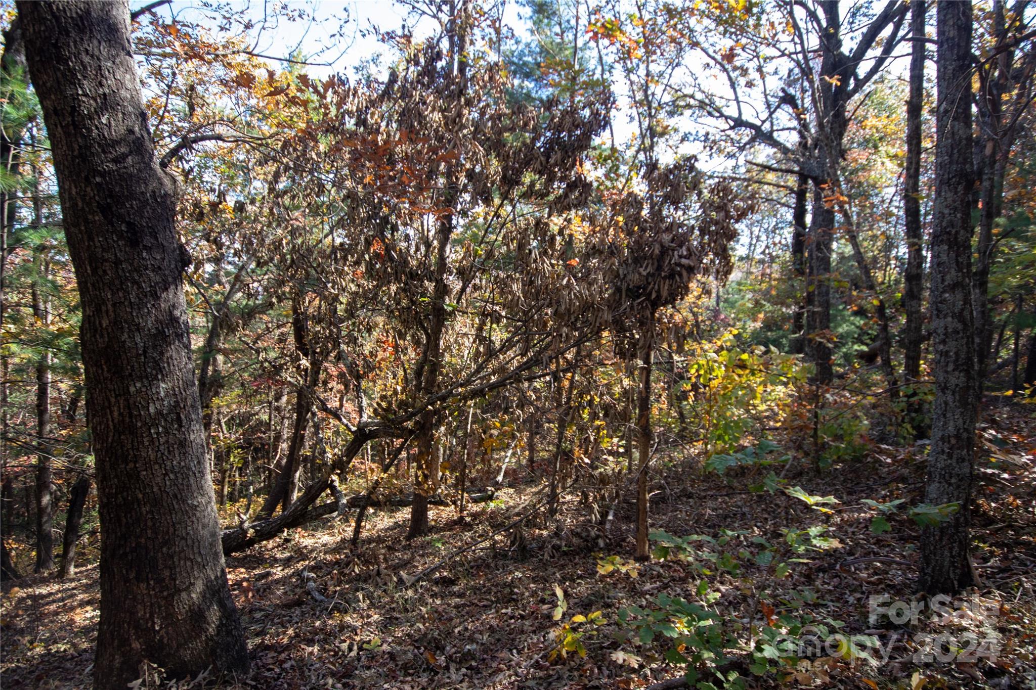 Lot at 22 Hackberry Road, Connelly Springs, photo 14 of 38