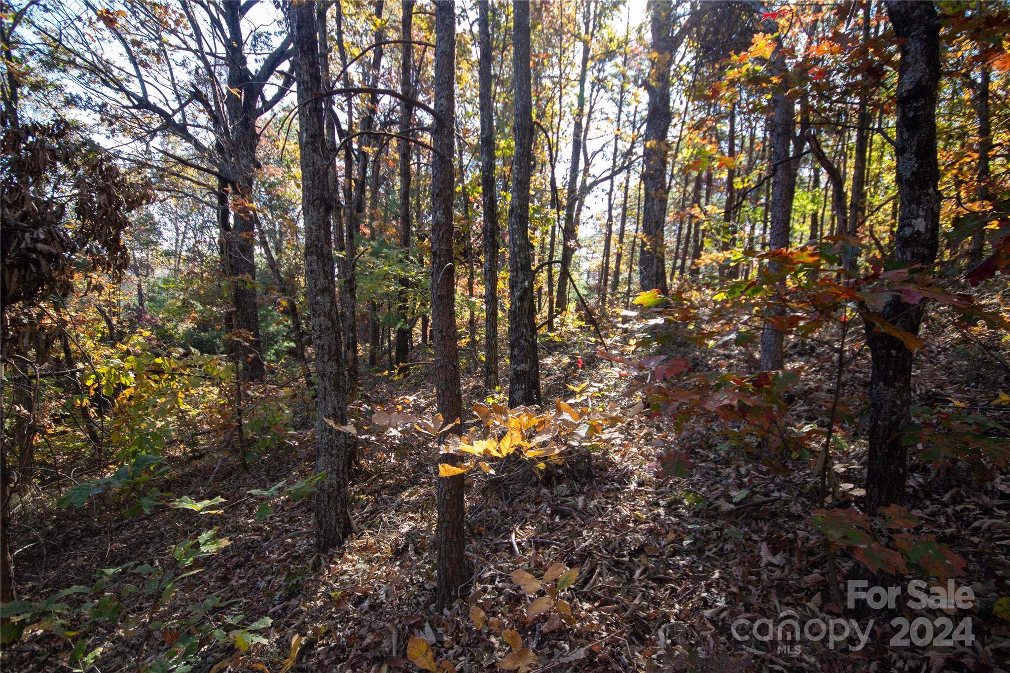 Lot at 22 Hackberry Road, Connelly Springs, photo 15 of 38