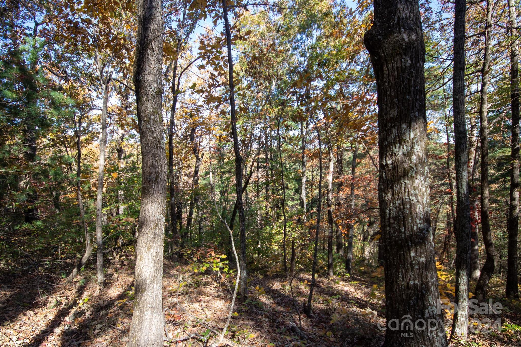 Lot at 22 Hackberry Road, Connelly Springs, photo 18 of 38