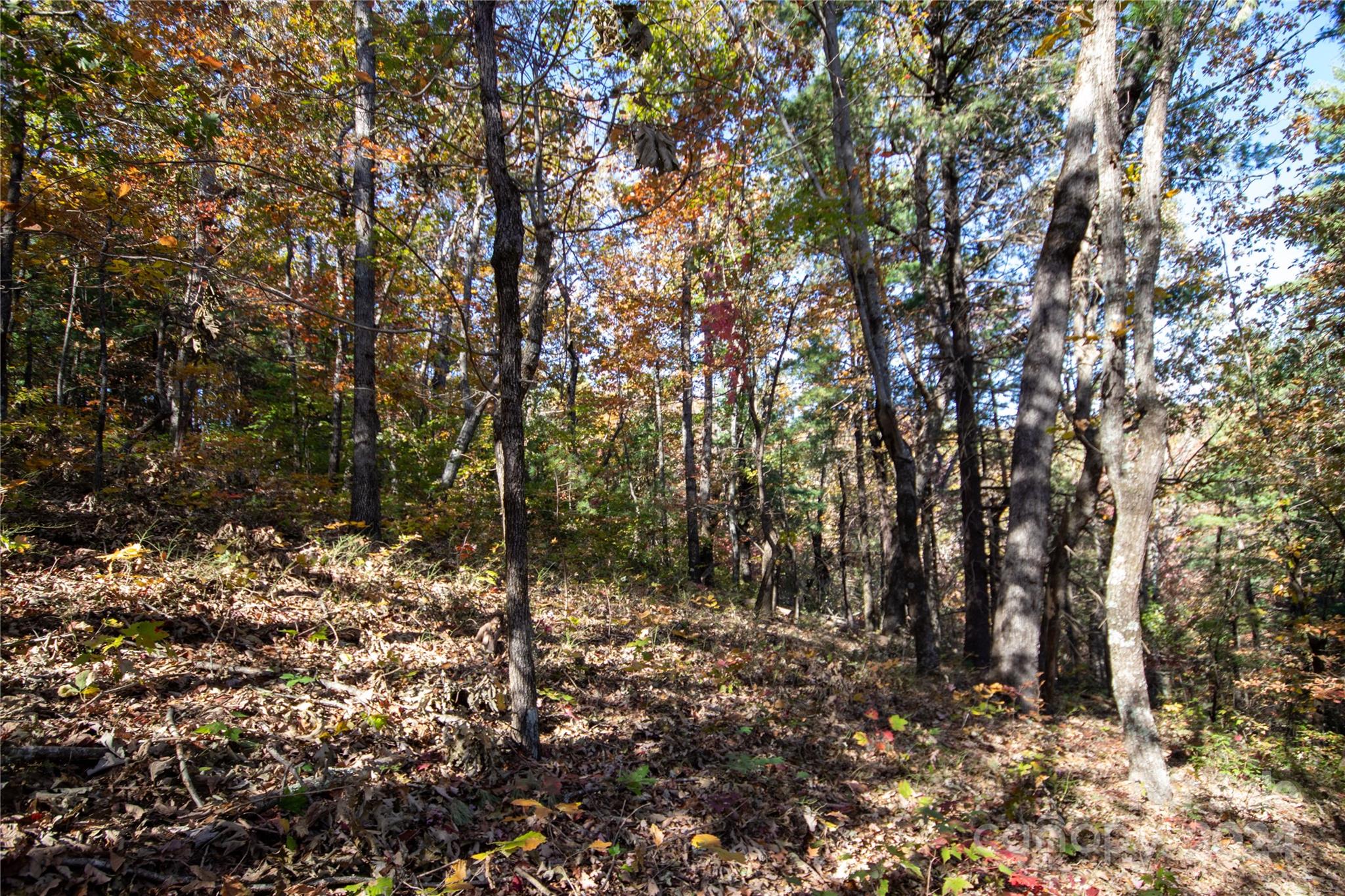 Lot at 22 Hackberry Road, Connelly Springs, photo 25 of 38
