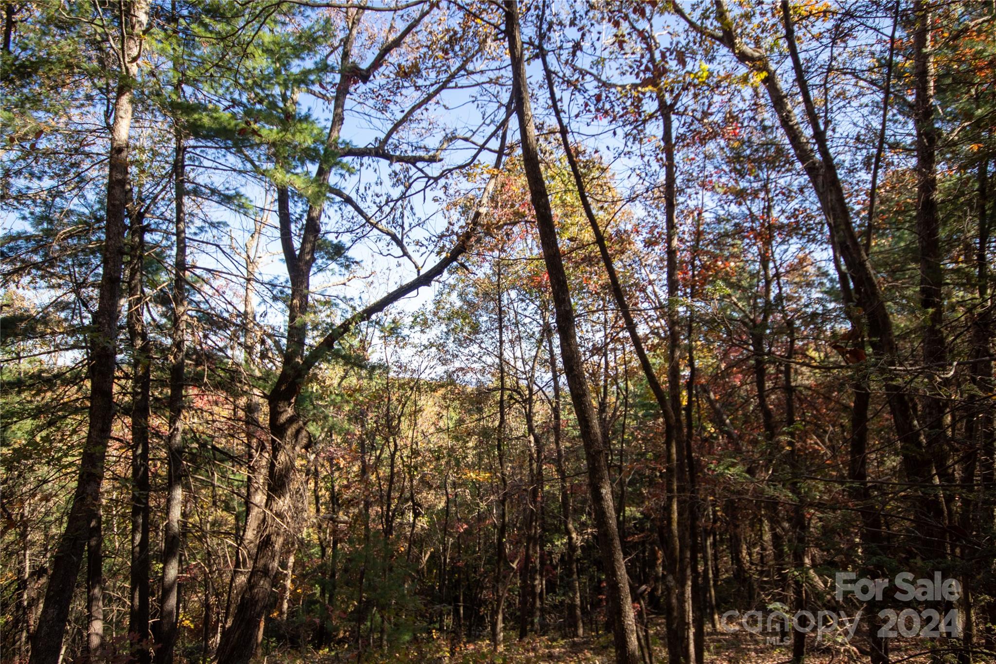 Lot at 22 Hackberry Road, Connelly Springs, photo 27 of 38
