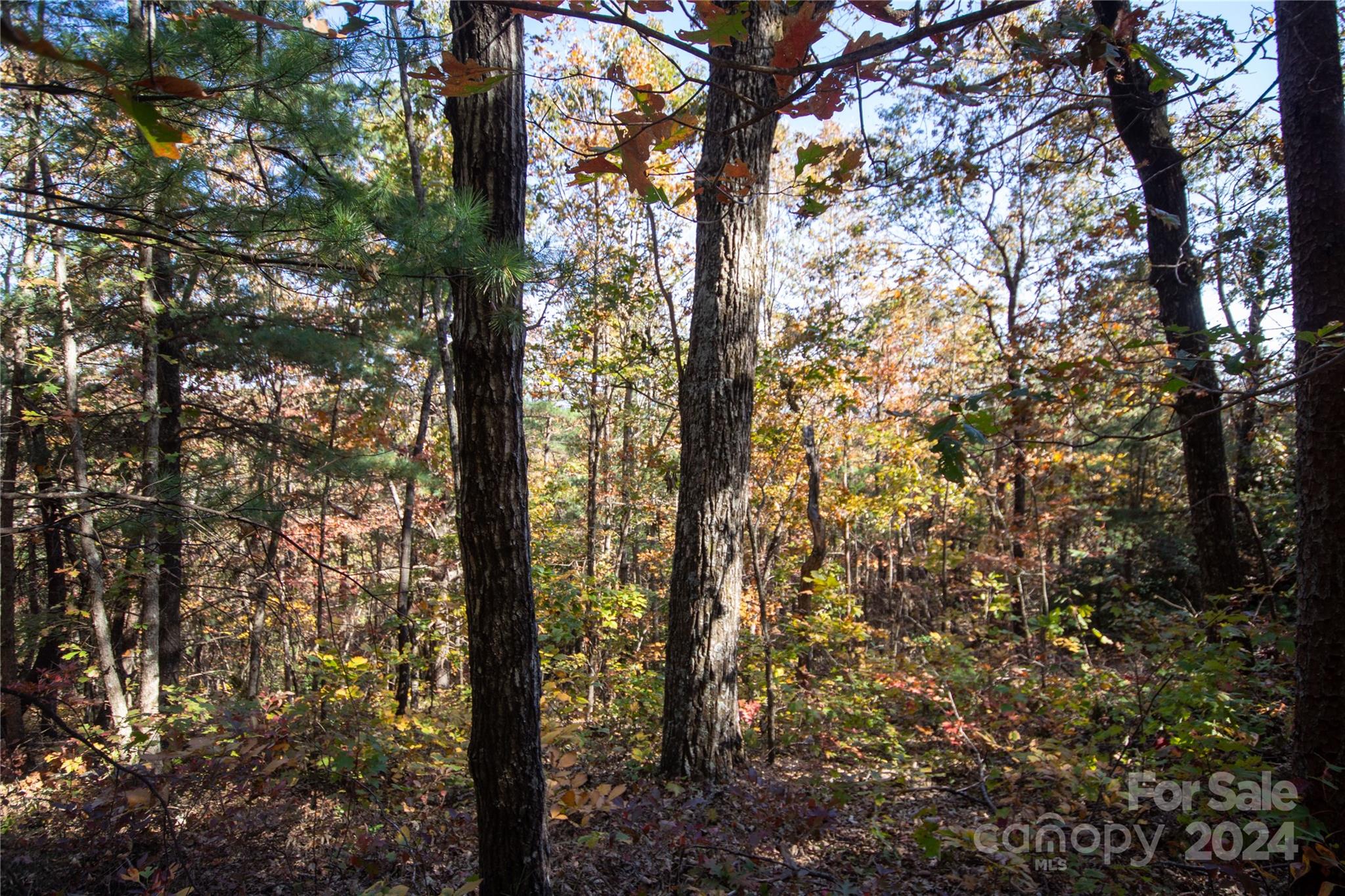 Lot at 22 Hackberry Road, Connelly Springs, photo 32 of 38