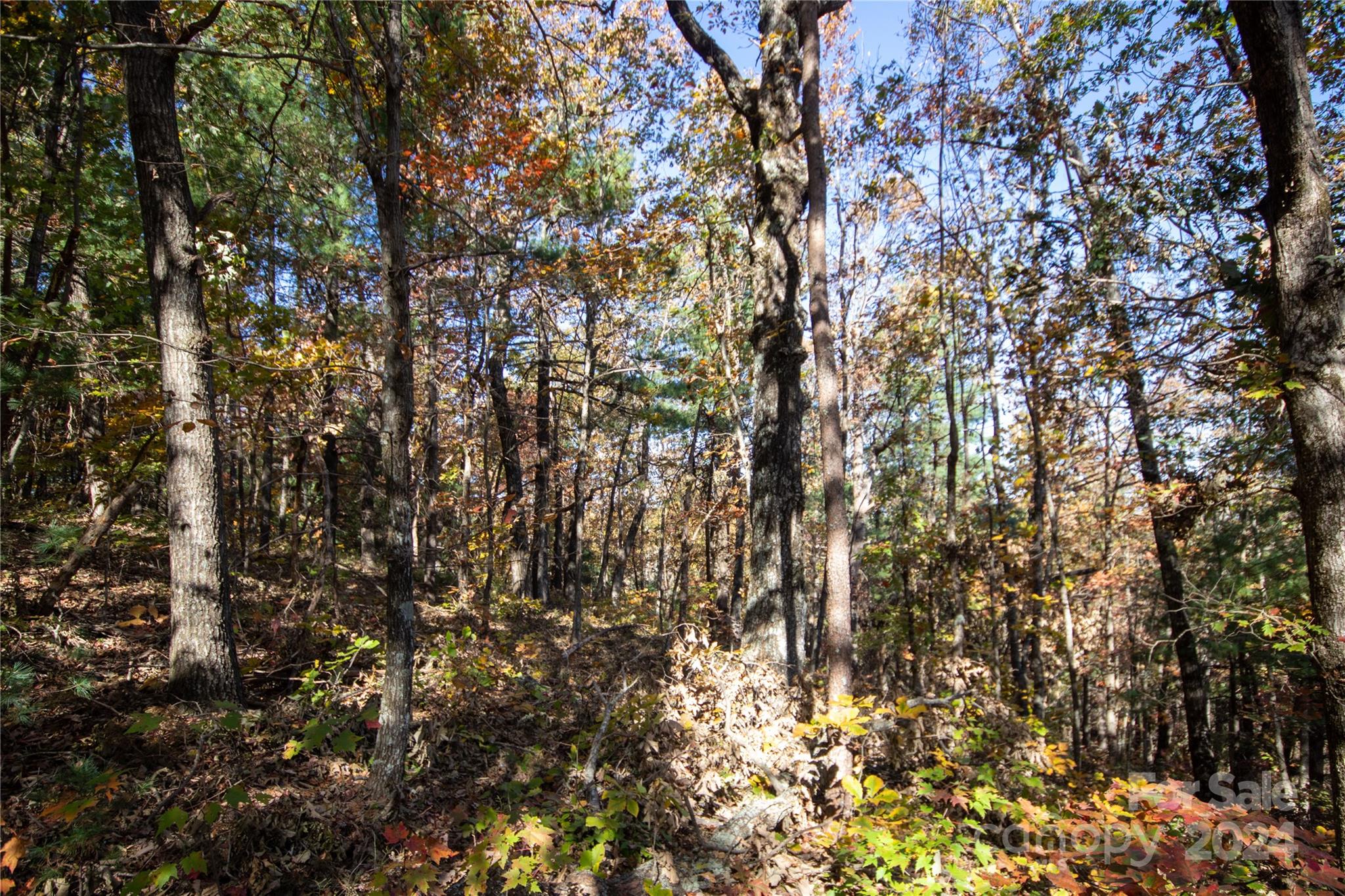 Lot at 22 Hackberry Road, Connelly Springs, photo 33 of 38