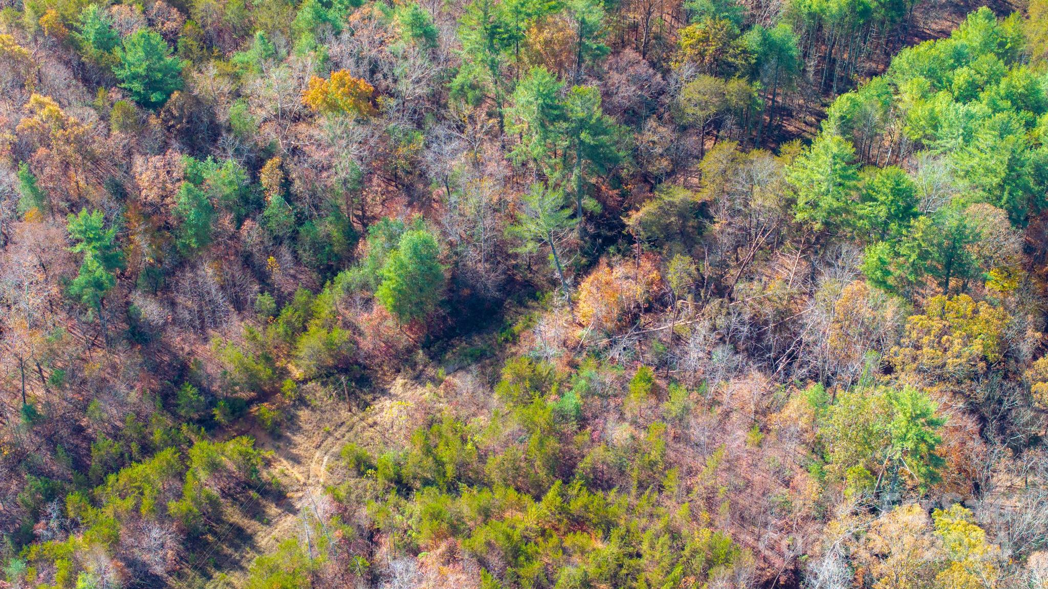 Acreage at TBD Wilkerson Way, Marion, photo 8 of 35
