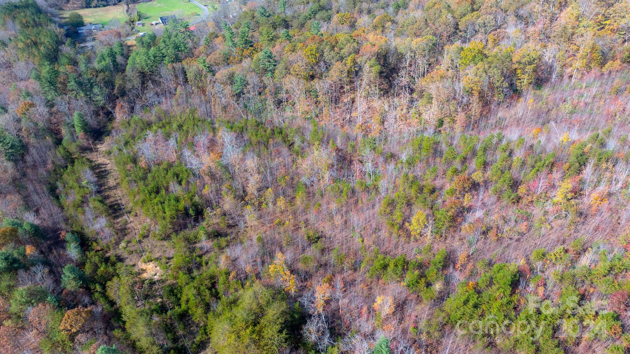 Acreage at TBD Wilkerson Way, Marion, photo 10 of 35