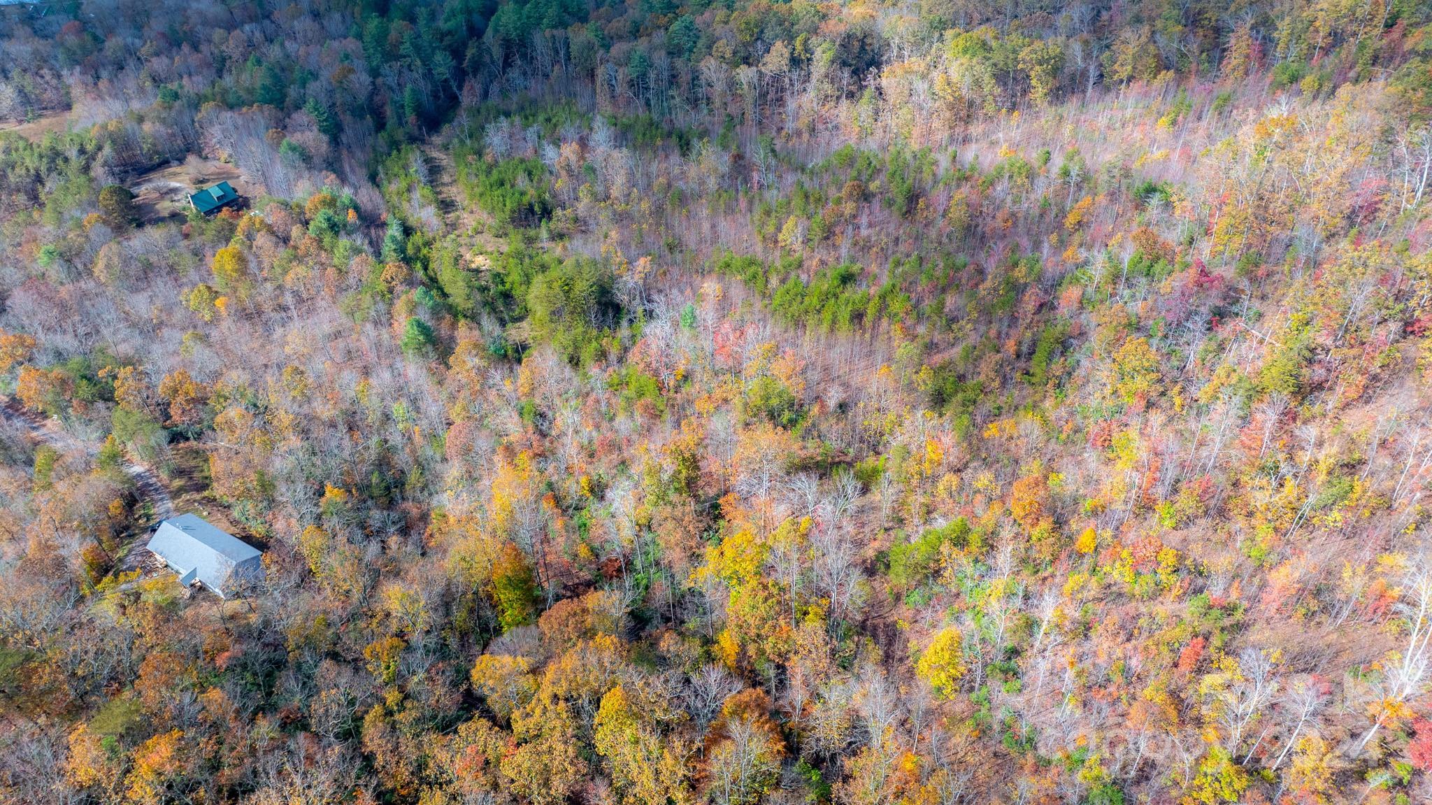 Acreage at TBD Wilkerson Way, Marion, photo 13 of 35