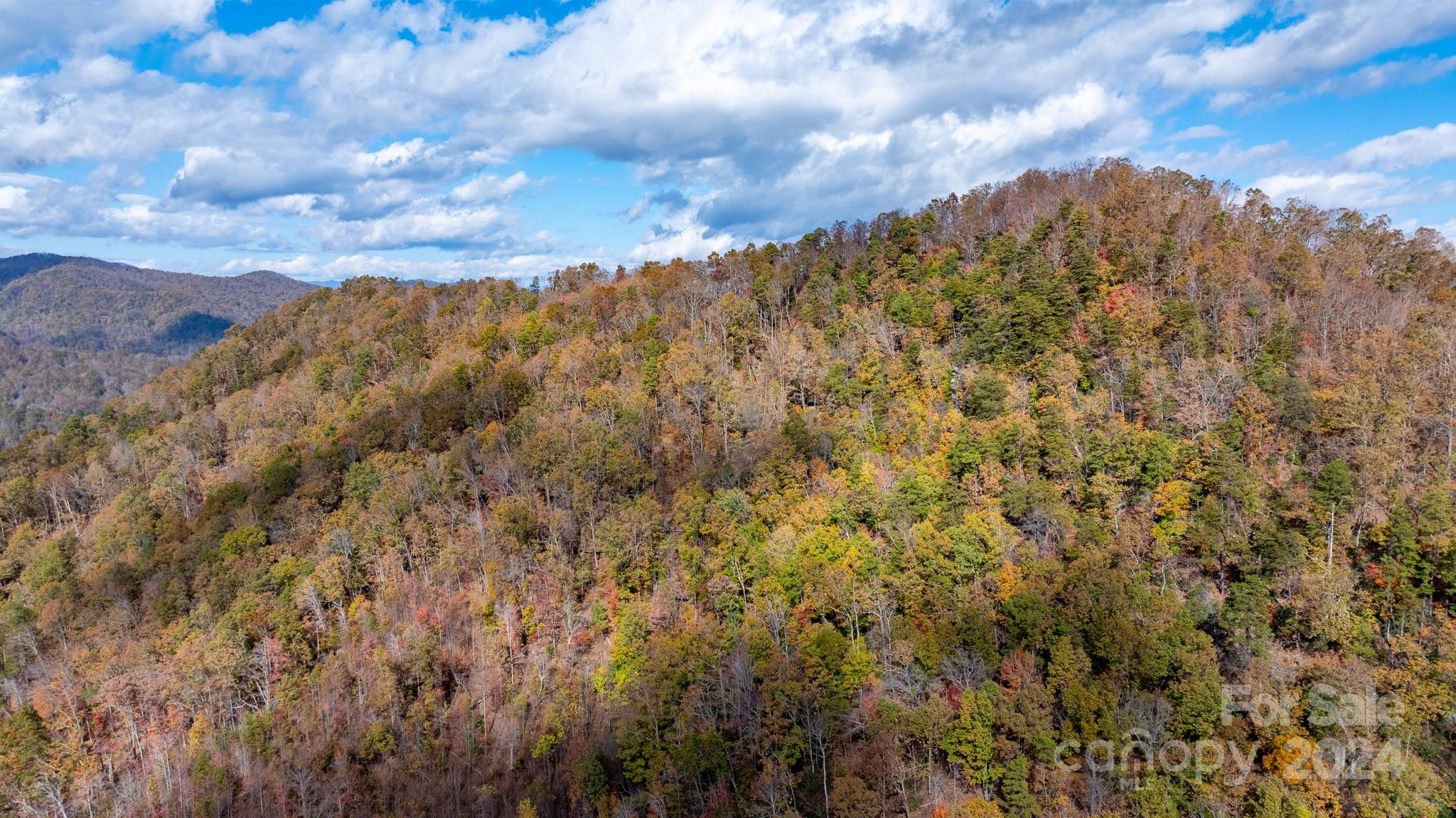 Acreage at TBD Wilkerson Way, Marion, photo 14 of 35