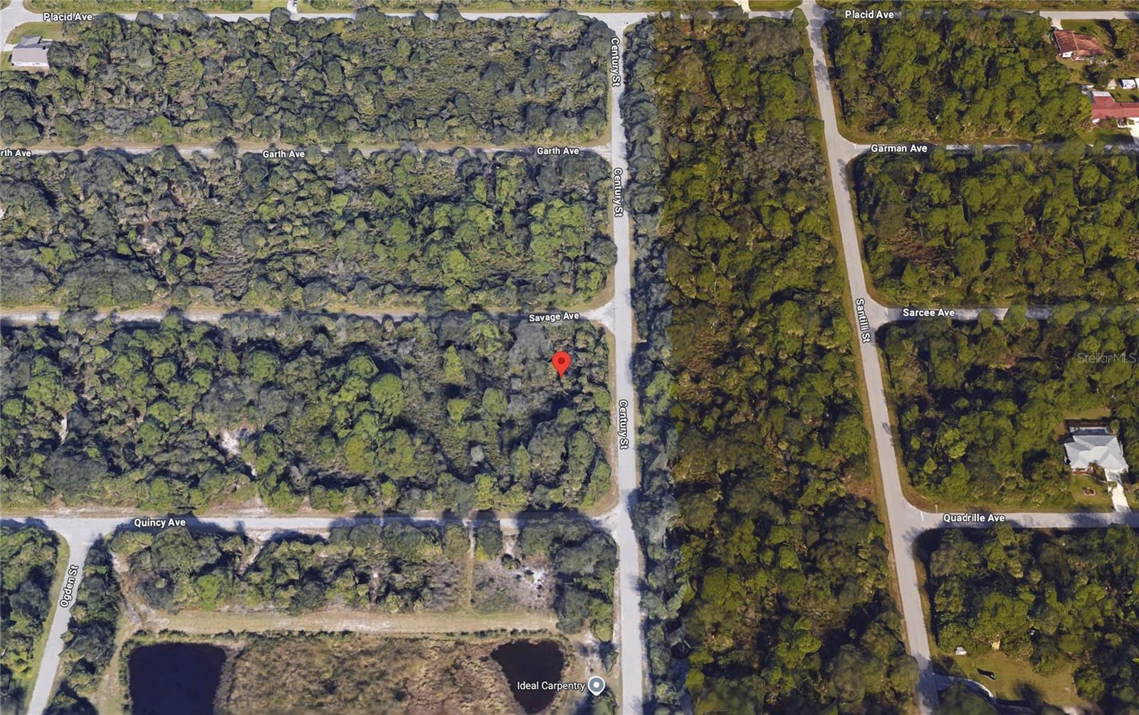 Land at 18205 SAVAGE AVE, PORT CHARLOTTE, photo 5 of 18