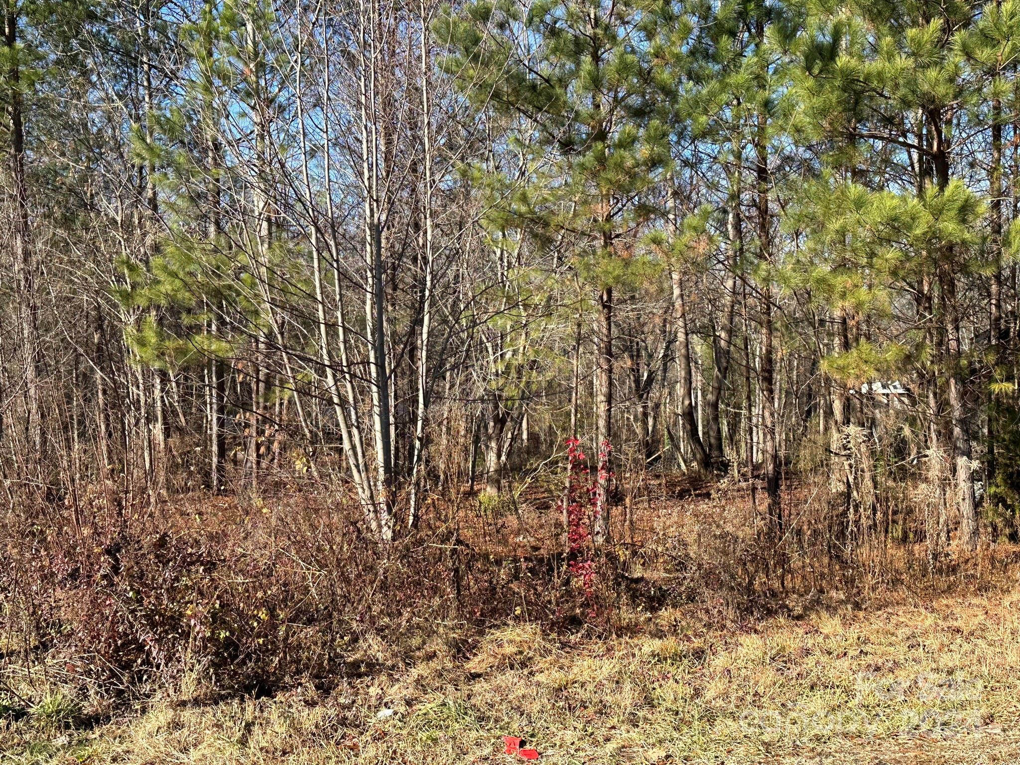 Free Standing Store at 3023 Wilkesboro Highway, Statesville, photo 19 of 21