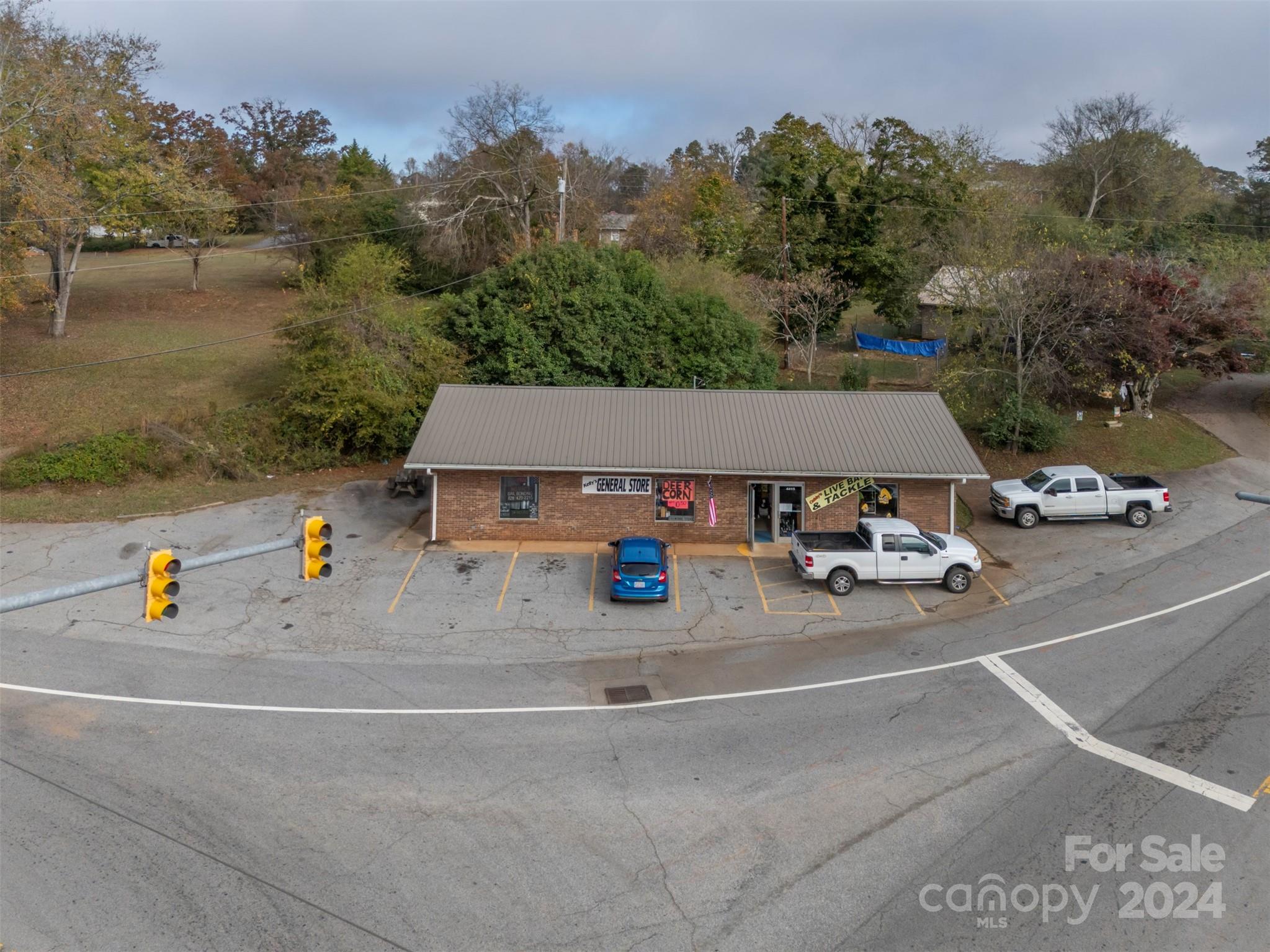 Retail at 82 NC Hwy 9 None, Mill Spring, photo 13 of 40