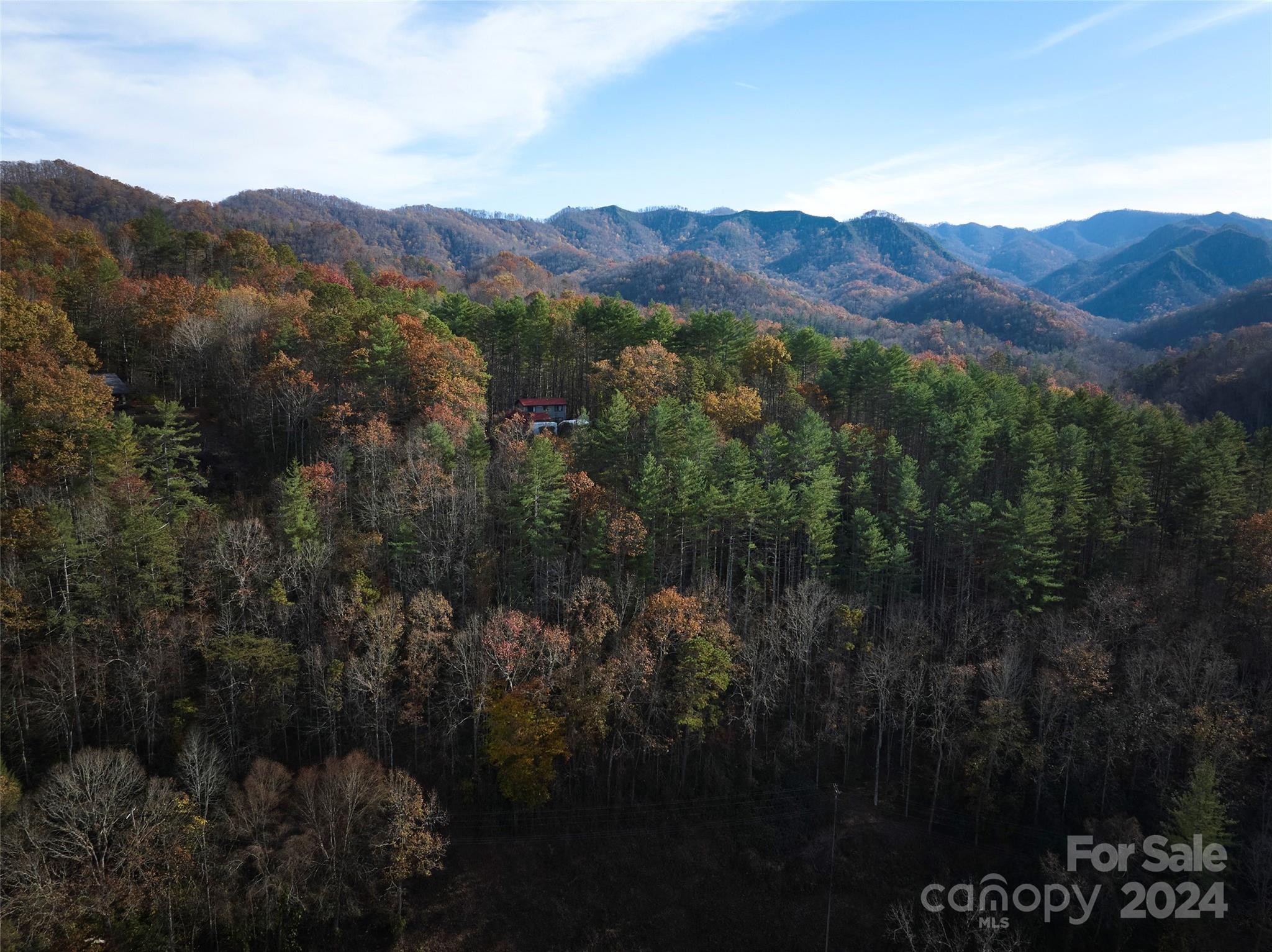 Lot at 0 Sky Ridge Drive, Bryson City, photo 4 of 15