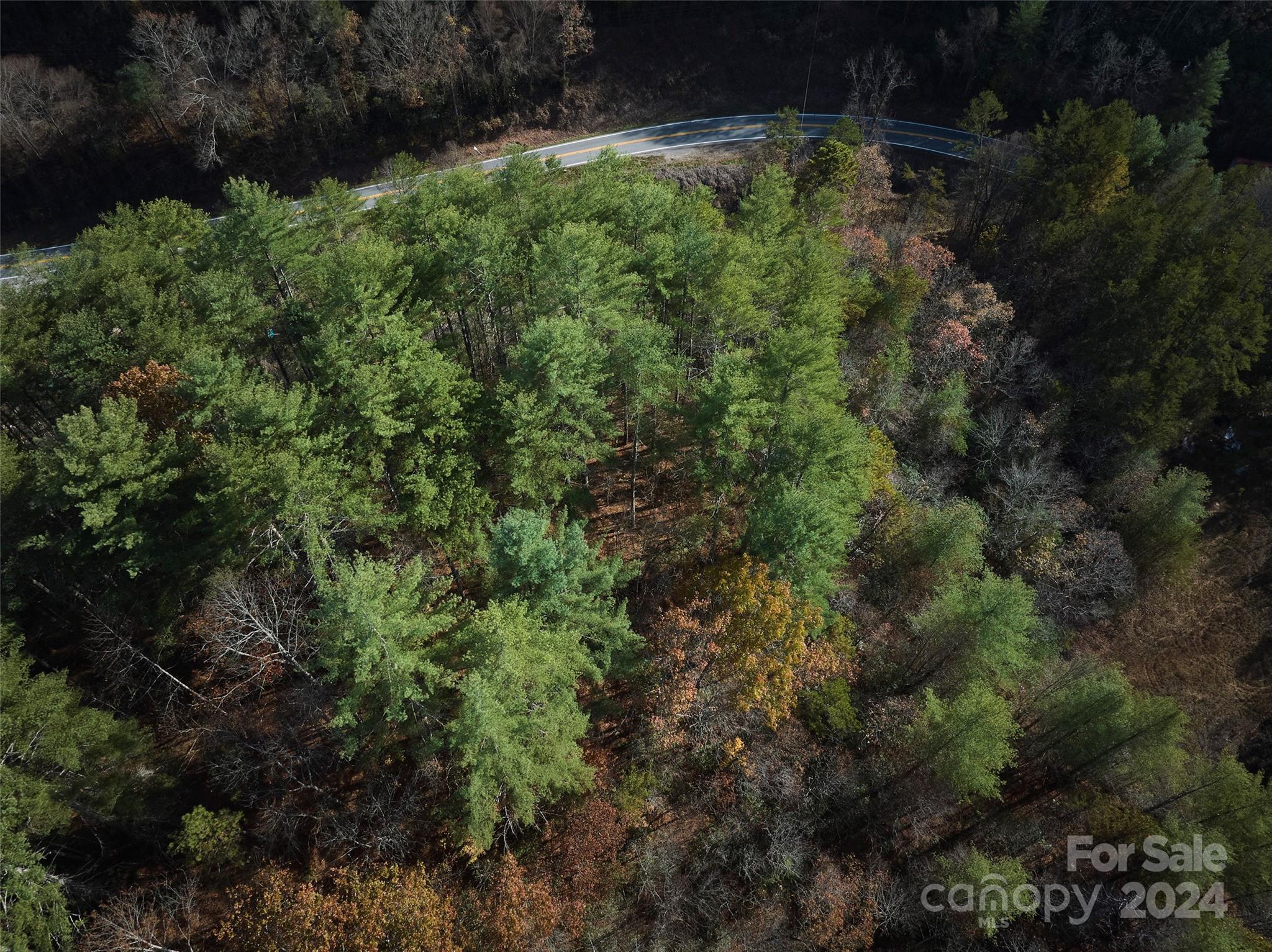 Lot at 0 Sky Ridge Drive, Bryson City, photo 8 of 15