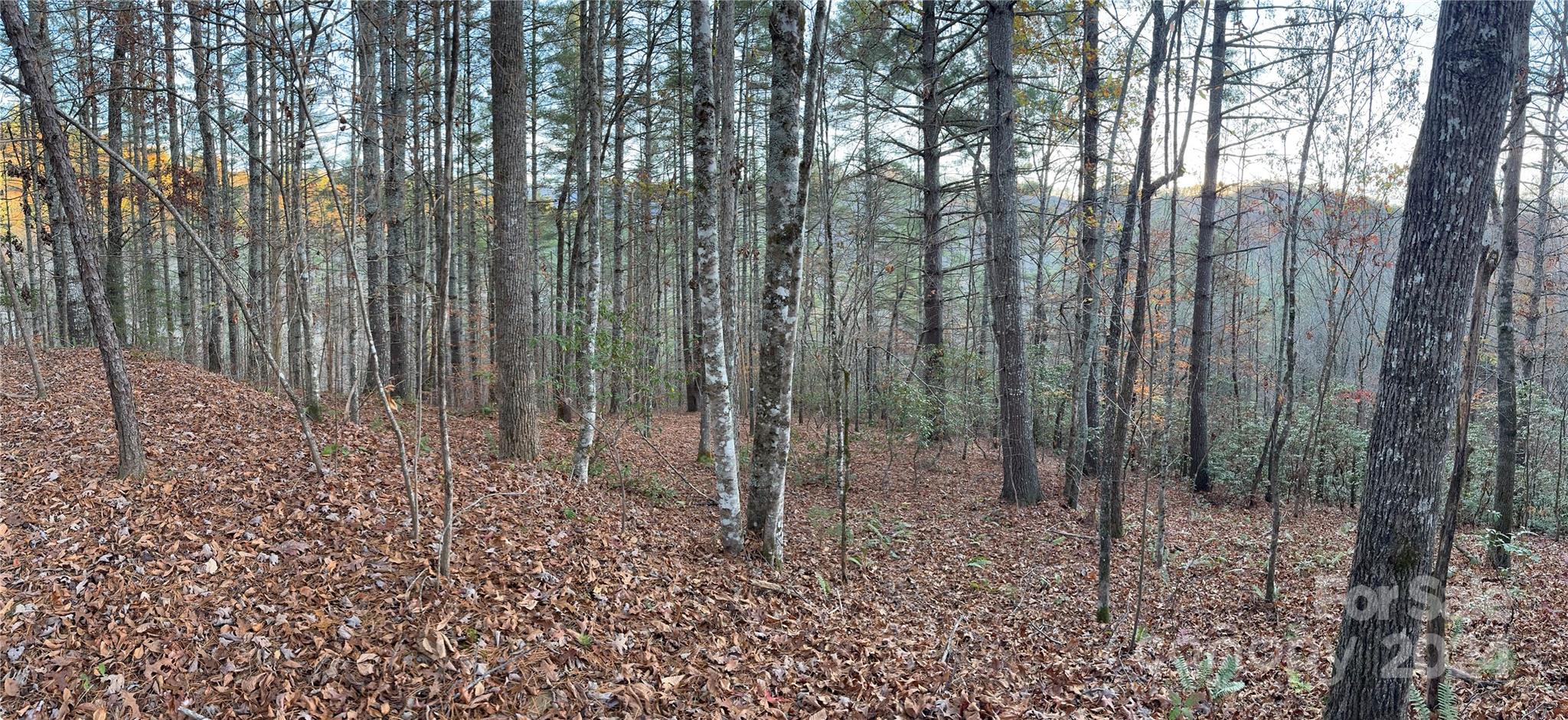 Lot at 0 Sky Ridge Drive, Bryson City, photo 14 of 15