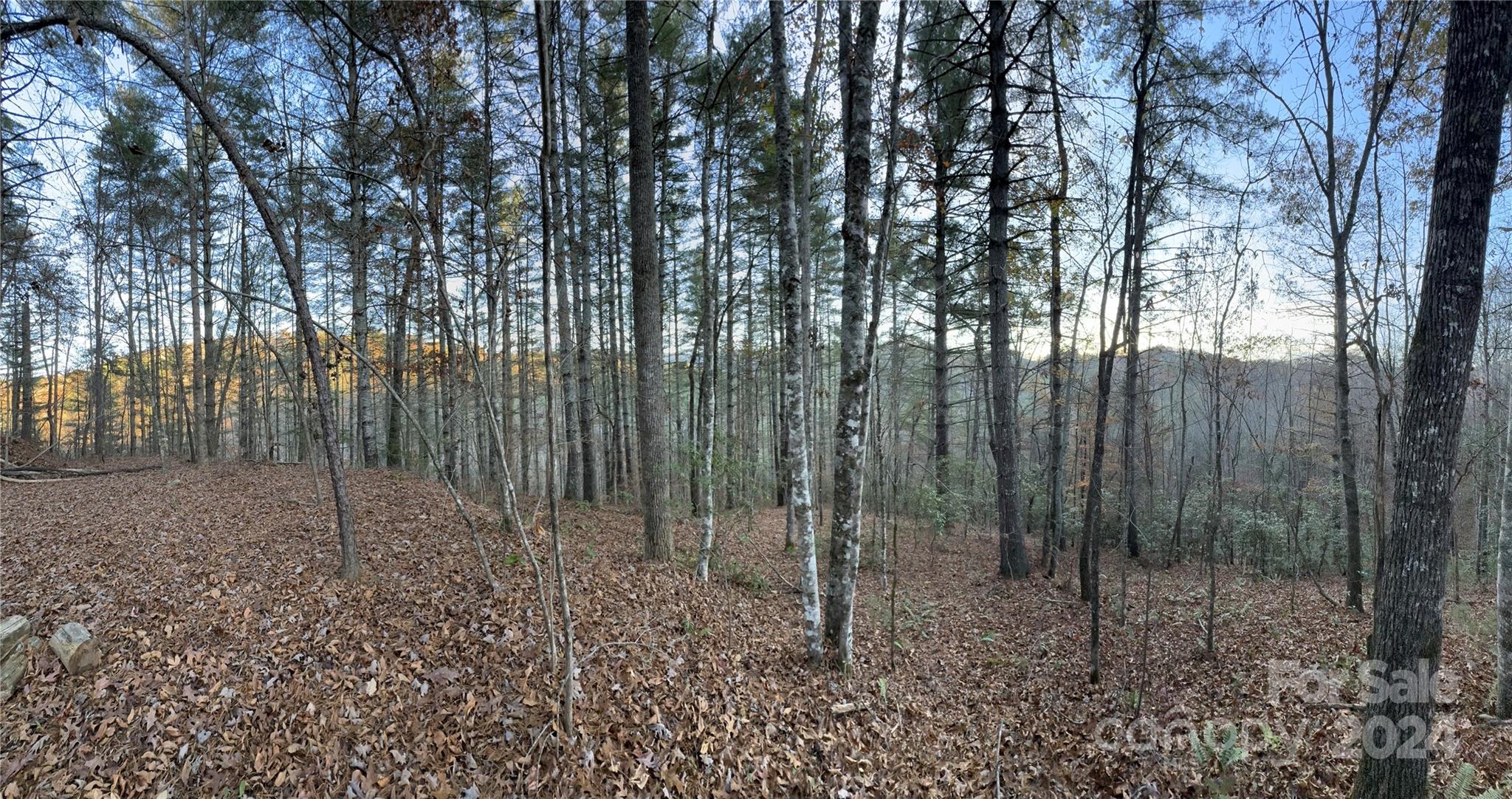 Lot at 0 Sky Ridge Drive, Bryson City, photo 15 of 15