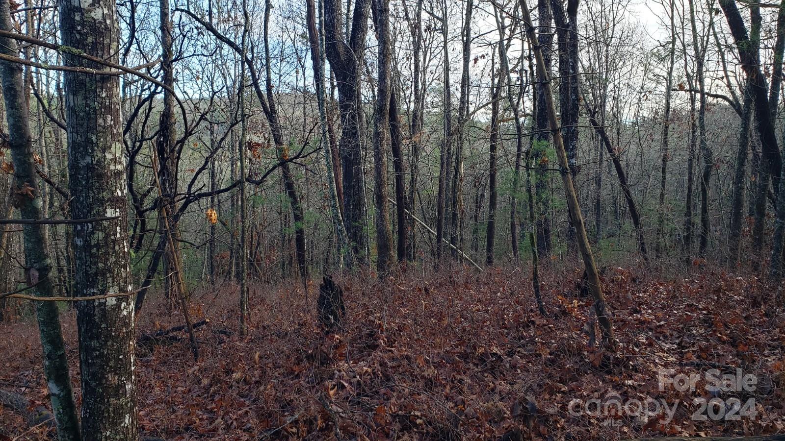 Acreage at TBD Cedar Lane, Brevard, photo 3 of 11