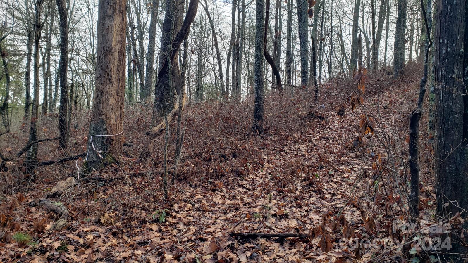 Gentle slope - TBD Cedar Lane, Brevard