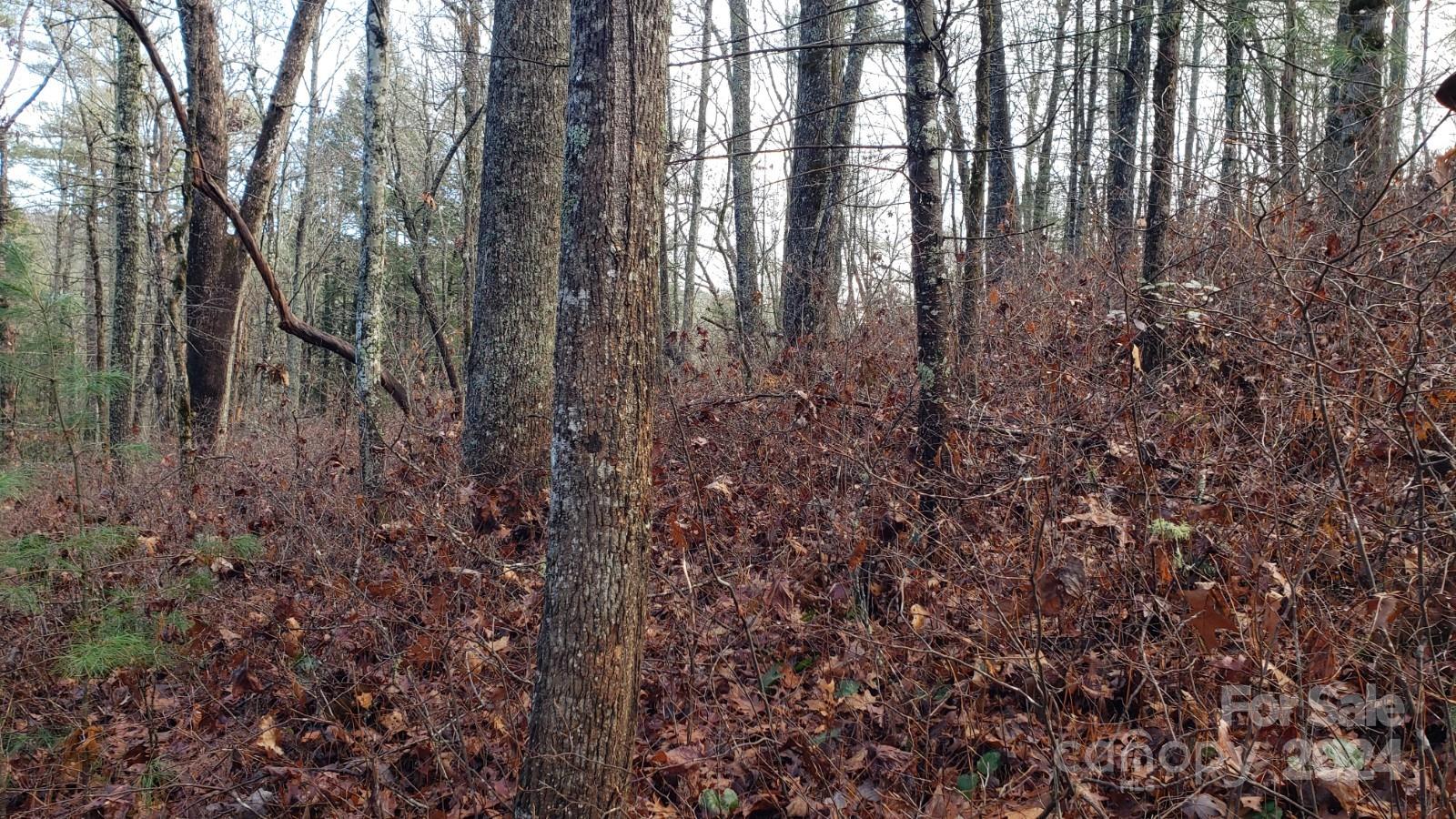 Acreage at TBD Cedar Lane, Brevard, photo 6 of 11