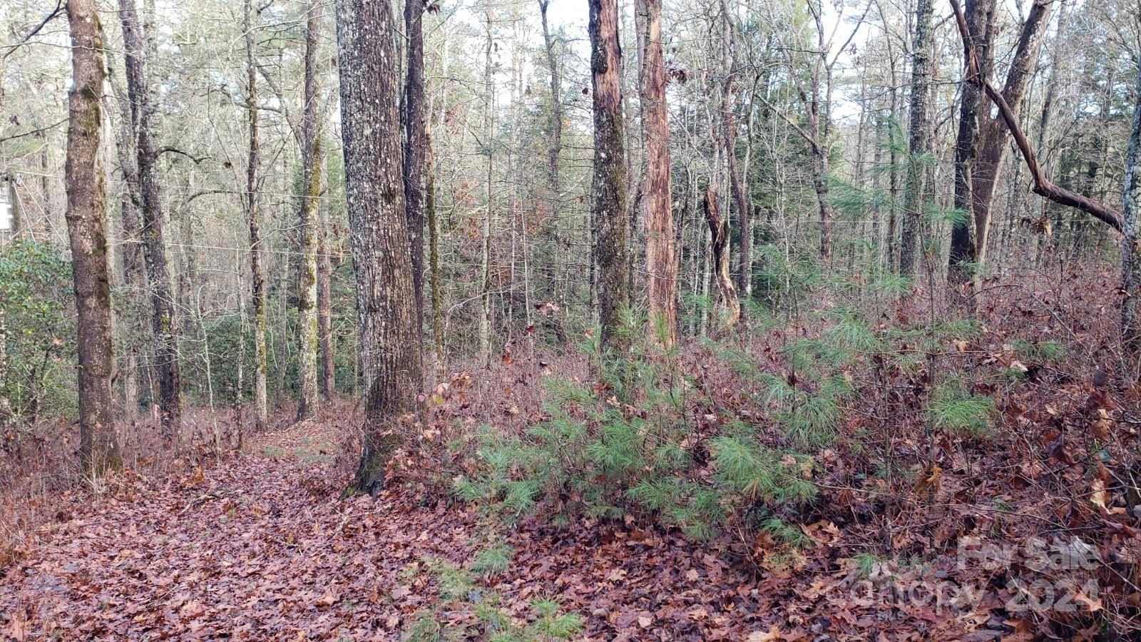 Acreage at TBD Cedar Lane, Brevard, photo 8 of 11