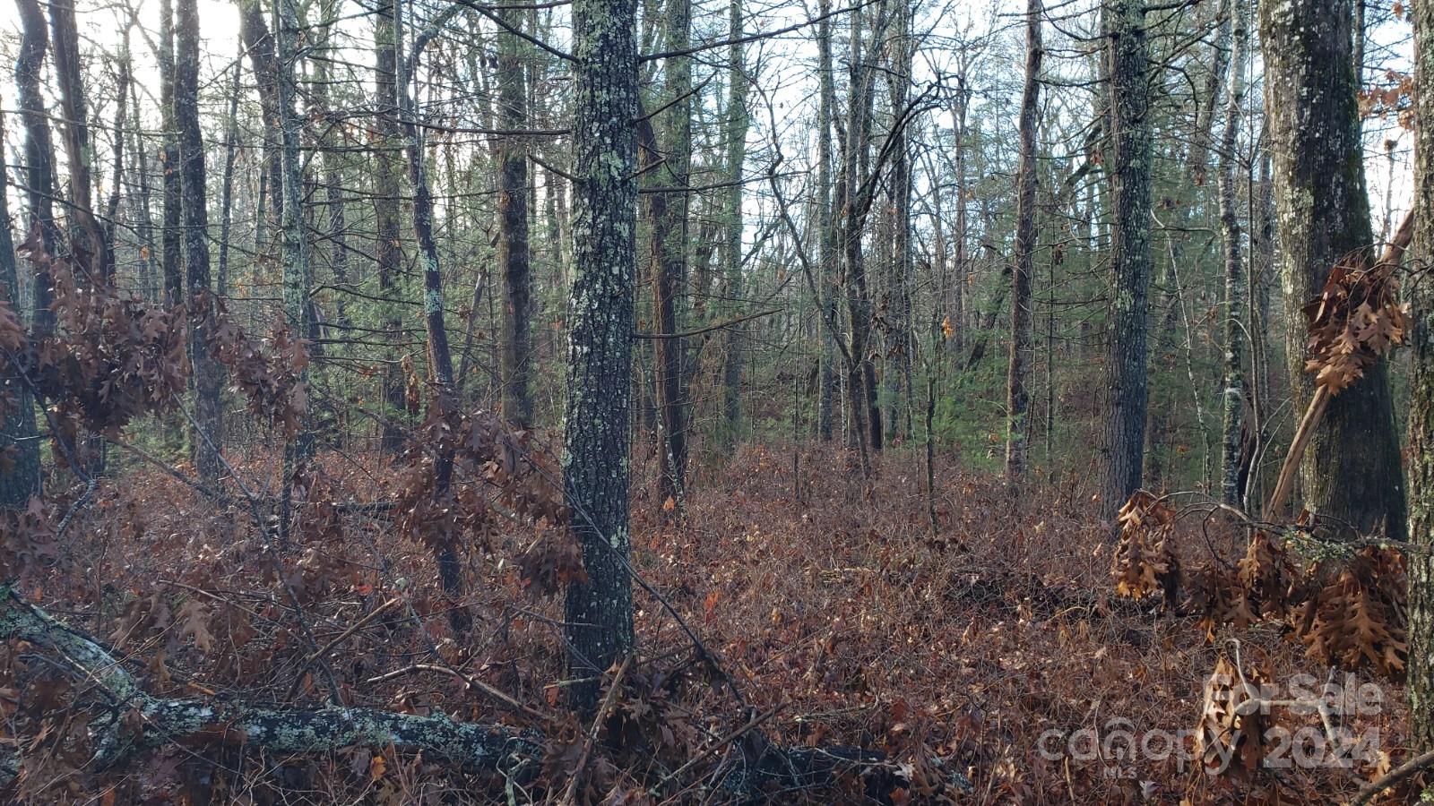 Acreage at TBD Cedar Lane, Brevard, photo 9 of 11
