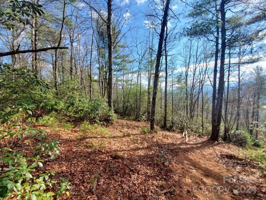 Lot at TBD Elkins Road, Bakersville, photo 2 of 7