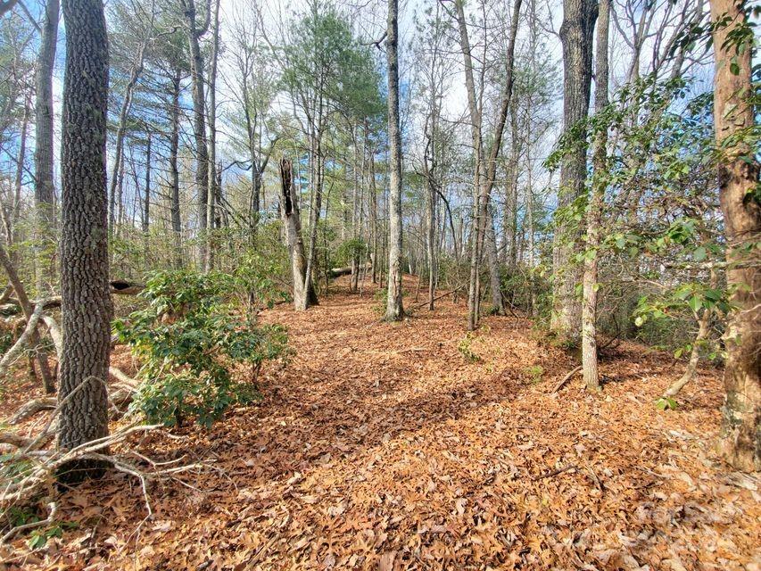 Lot at TBD Elkins Road, Bakersville, photo 4 of 7