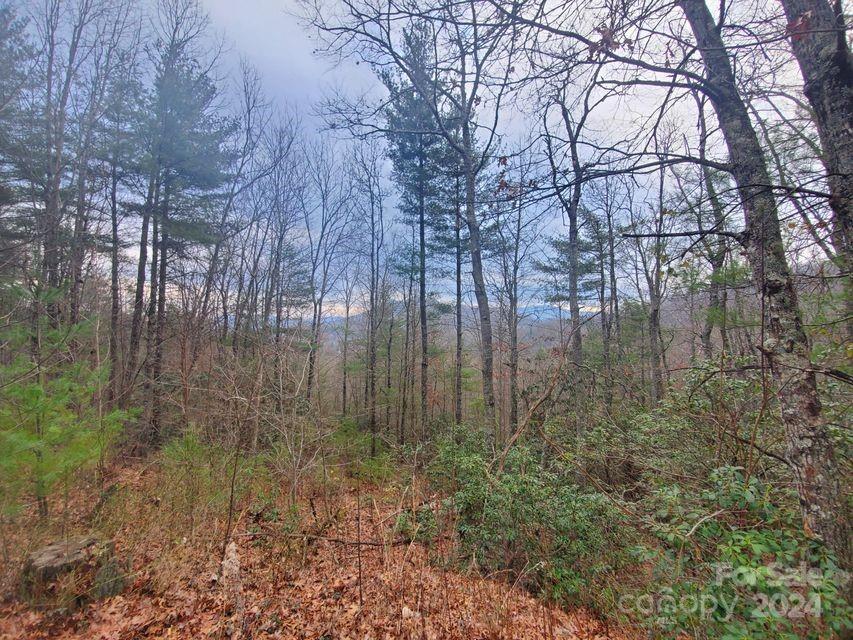 Lot at TBD Elkins Road, Bakersville, photo 5 of 7