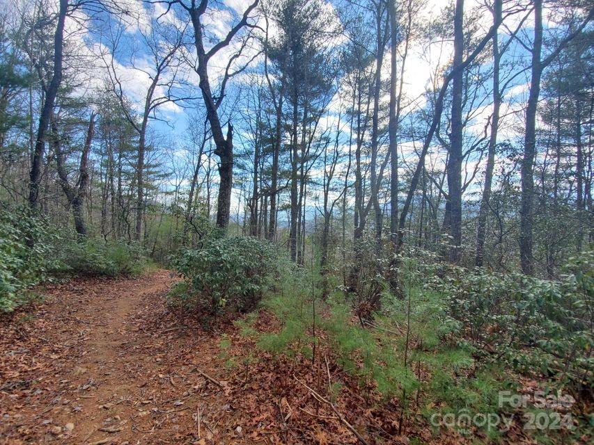 Lot at TBD Elkins Road, Bakersville, photo 7 of 7