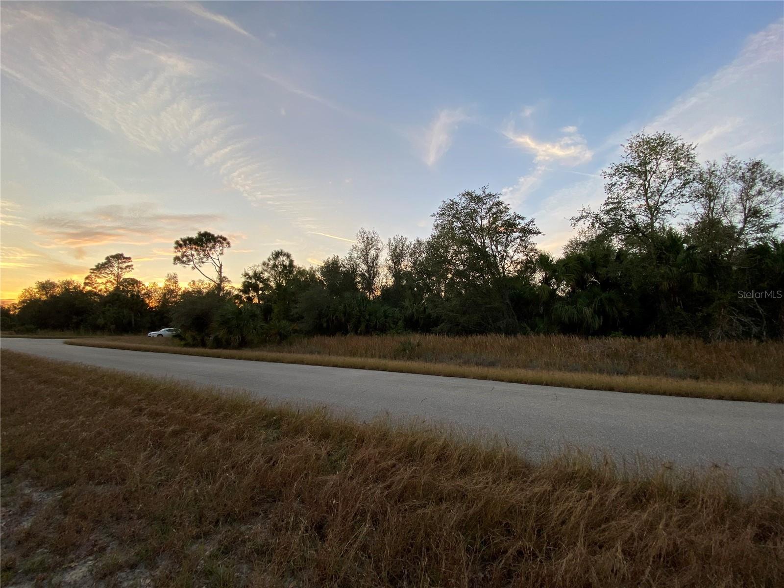 From across the street, looking SW on Whaling Rd. - WHALING RD, NORTH PORT