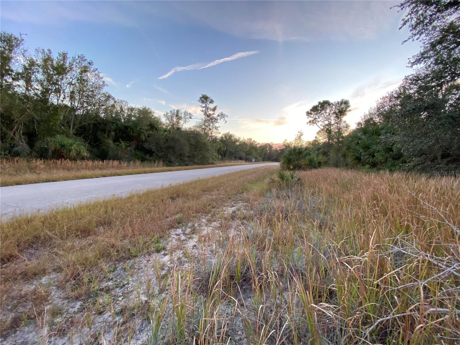 From Lot, looking (SW) down Whaling Rd. - WHALING RD, NORTH PORT