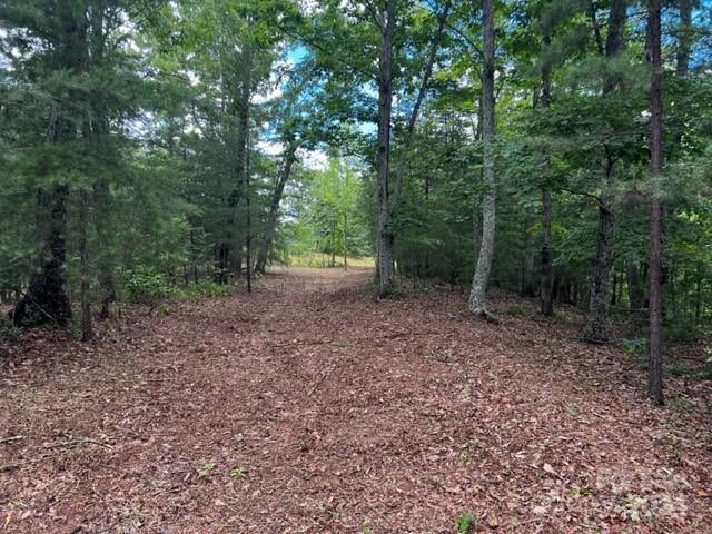 Acreage at 46 N Park Lane, Mill Spring, photo 2 of 7