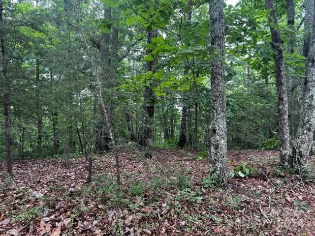 Acreage at 46 N Park Lane, Mill Spring, photo 3 of 7