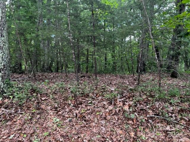 Acreage at 46 N Park Lane, Mill Spring, photo 4 of 7