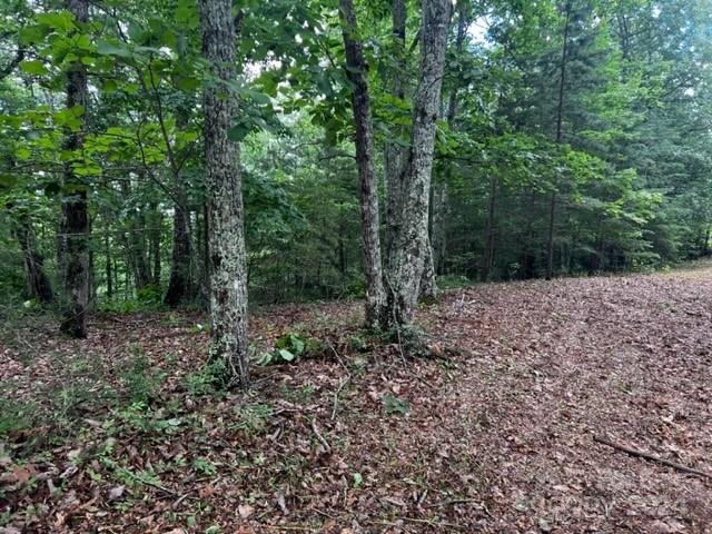 Acreage at 46 N Park Lane, Mill Spring, photo 5 of 7