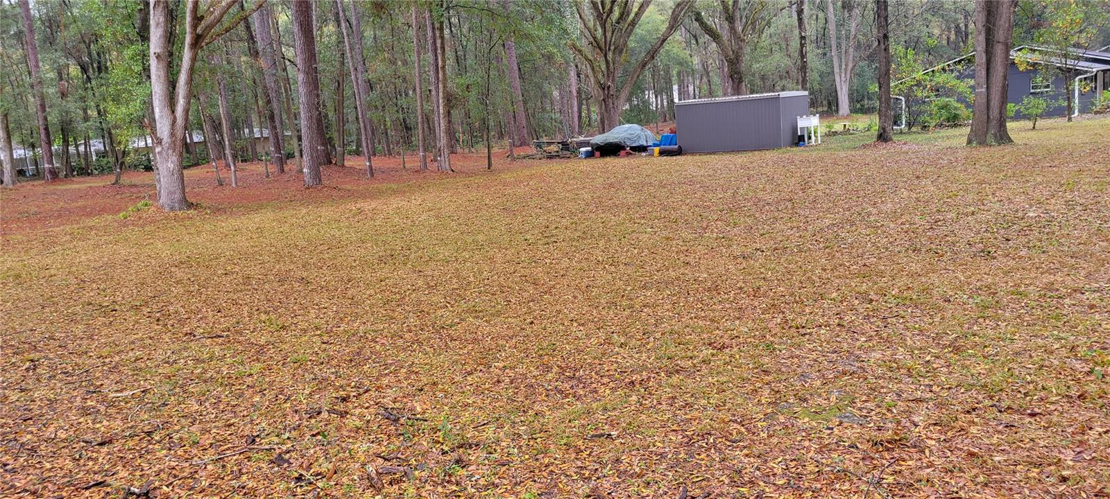 Land at 1260 SW 91ST ST, GAINESVILLE, photo 7 of 13