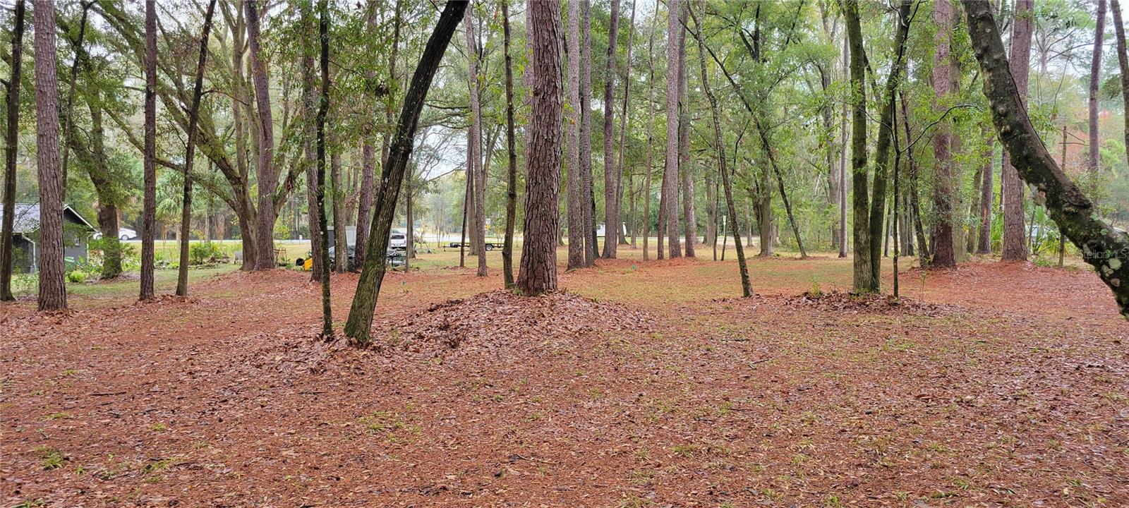 Land at 1260 SW 91ST ST, GAINESVILLE, photo 8 of 13