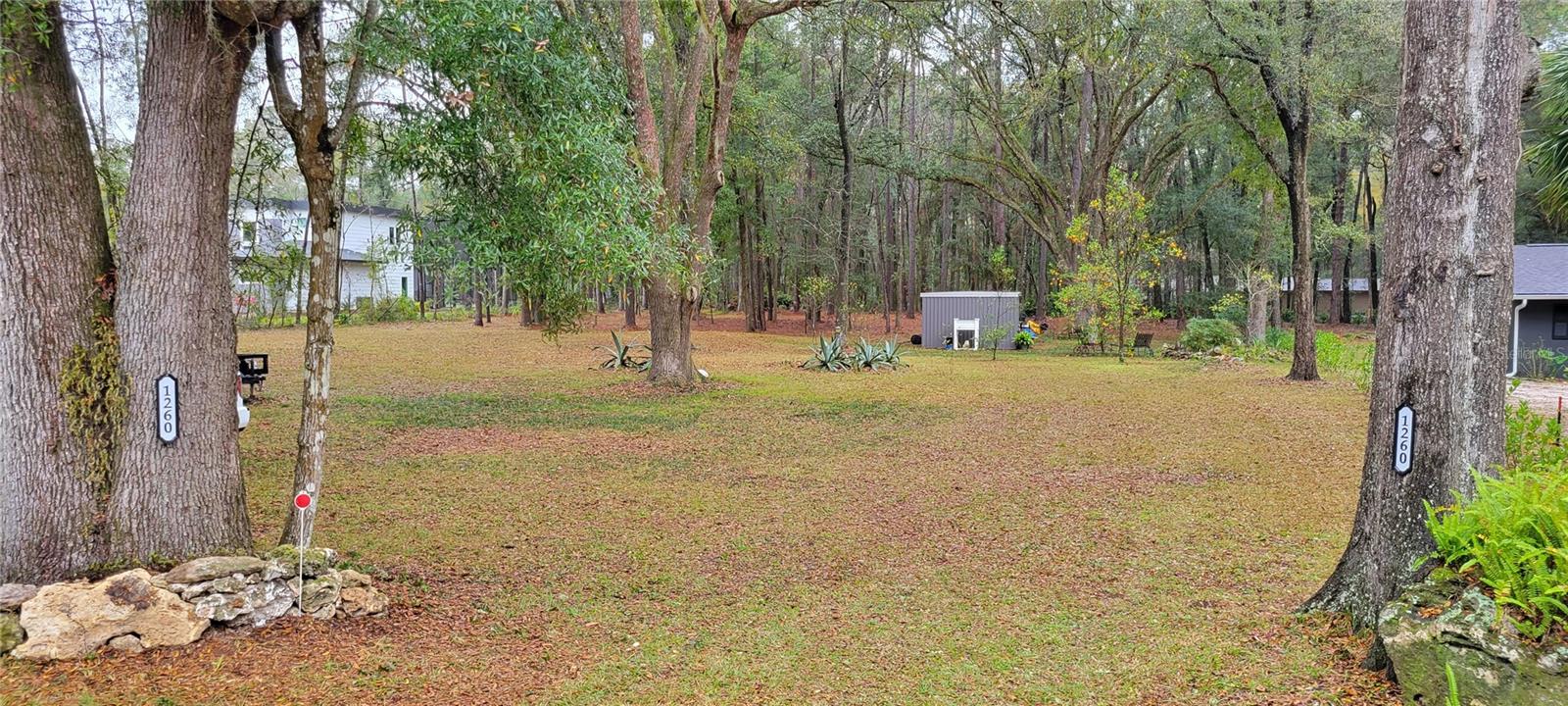 Land at 1260 SW 91ST ST, GAINESVILLE, photo 9 of 13
