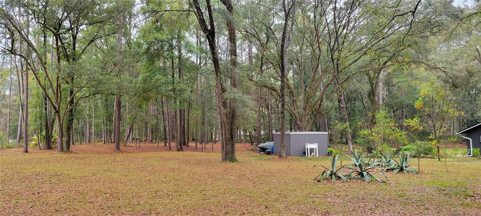 Land at 1260 SW 91ST ST, GAINESVILLE, photo 12 of 13