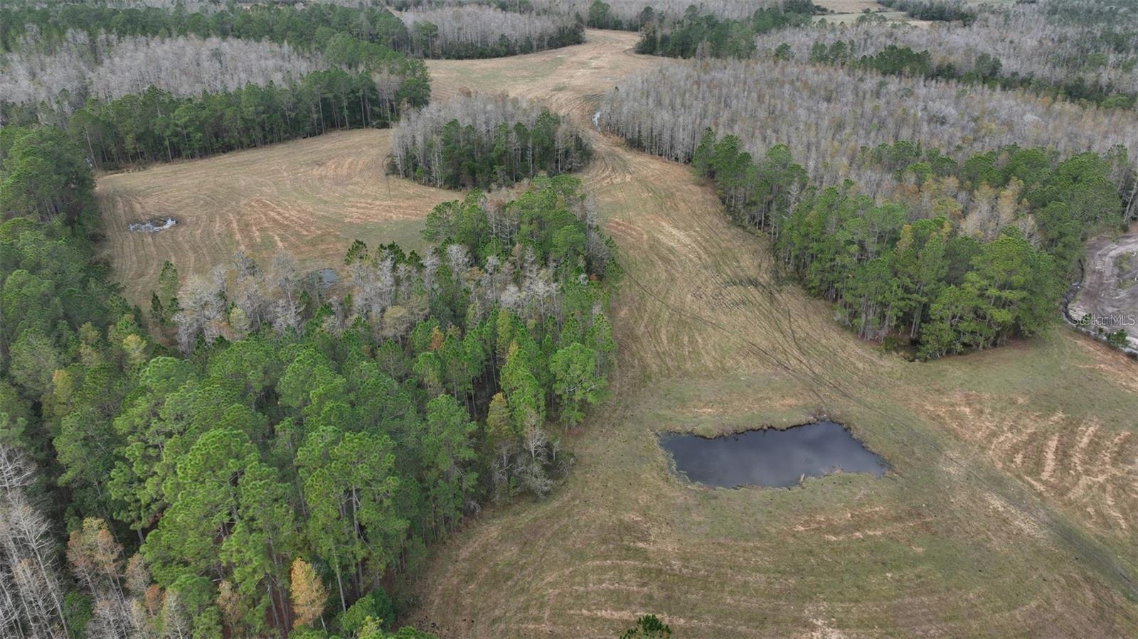 Land at BERRY GROVES RD DR, CLERMONT, photo 4 of 18