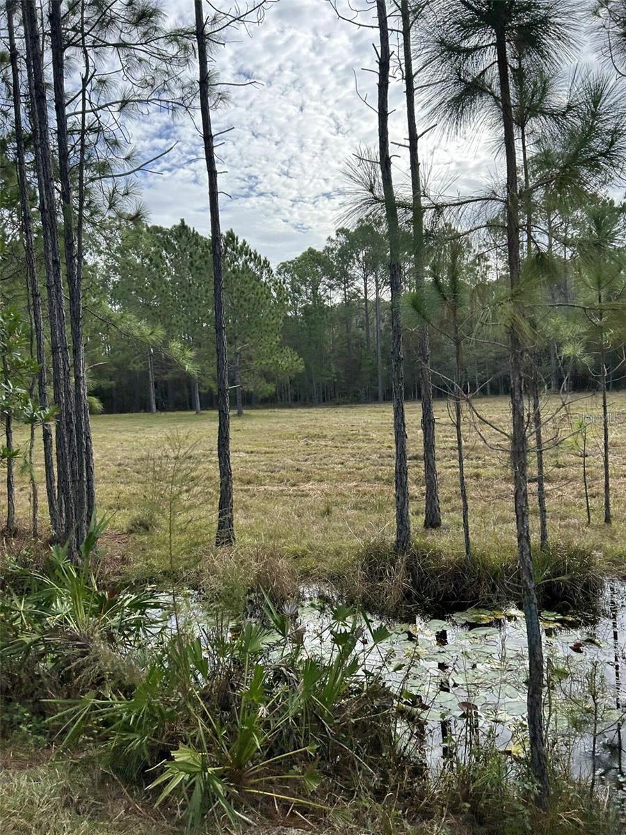 Land at BERRY GROVES RD DR, CLERMONT, photo 5 of 18