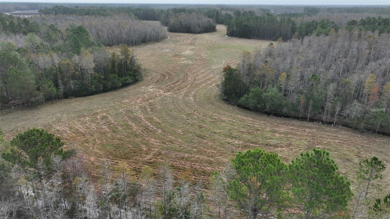 Land at BERRY GROVES RD DR, CLERMONT, photo 7 of 18