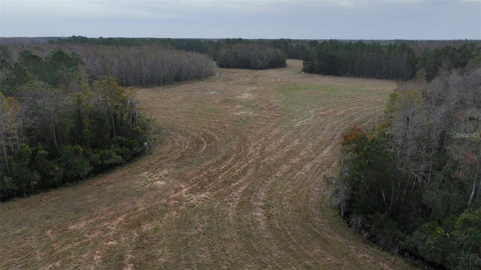 Land at BERRY GROVES RD DR, CLERMONT, photo 8 of 18