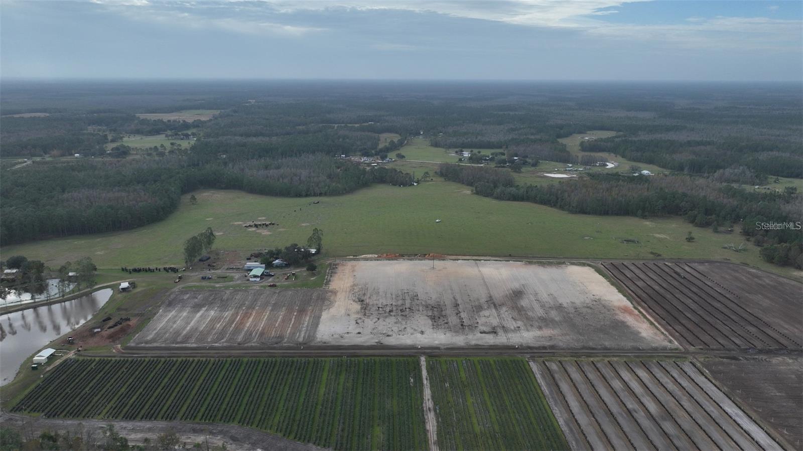 Land at BERRY GROVES RD DR, CLERMONT, photo 9 of 18