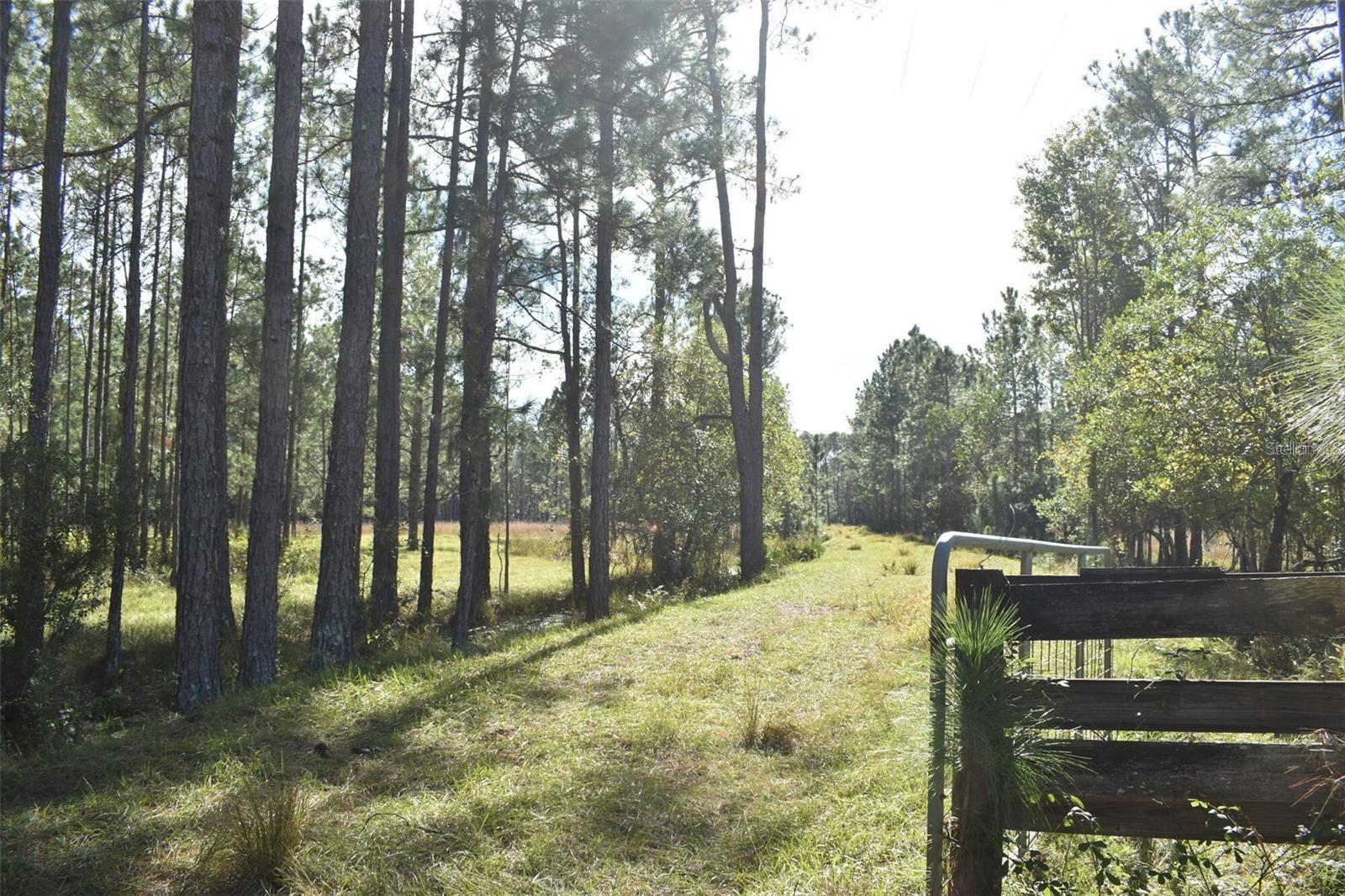 Land at BERRY GROVES RD DR, CLERMONT, photo 10 of 18