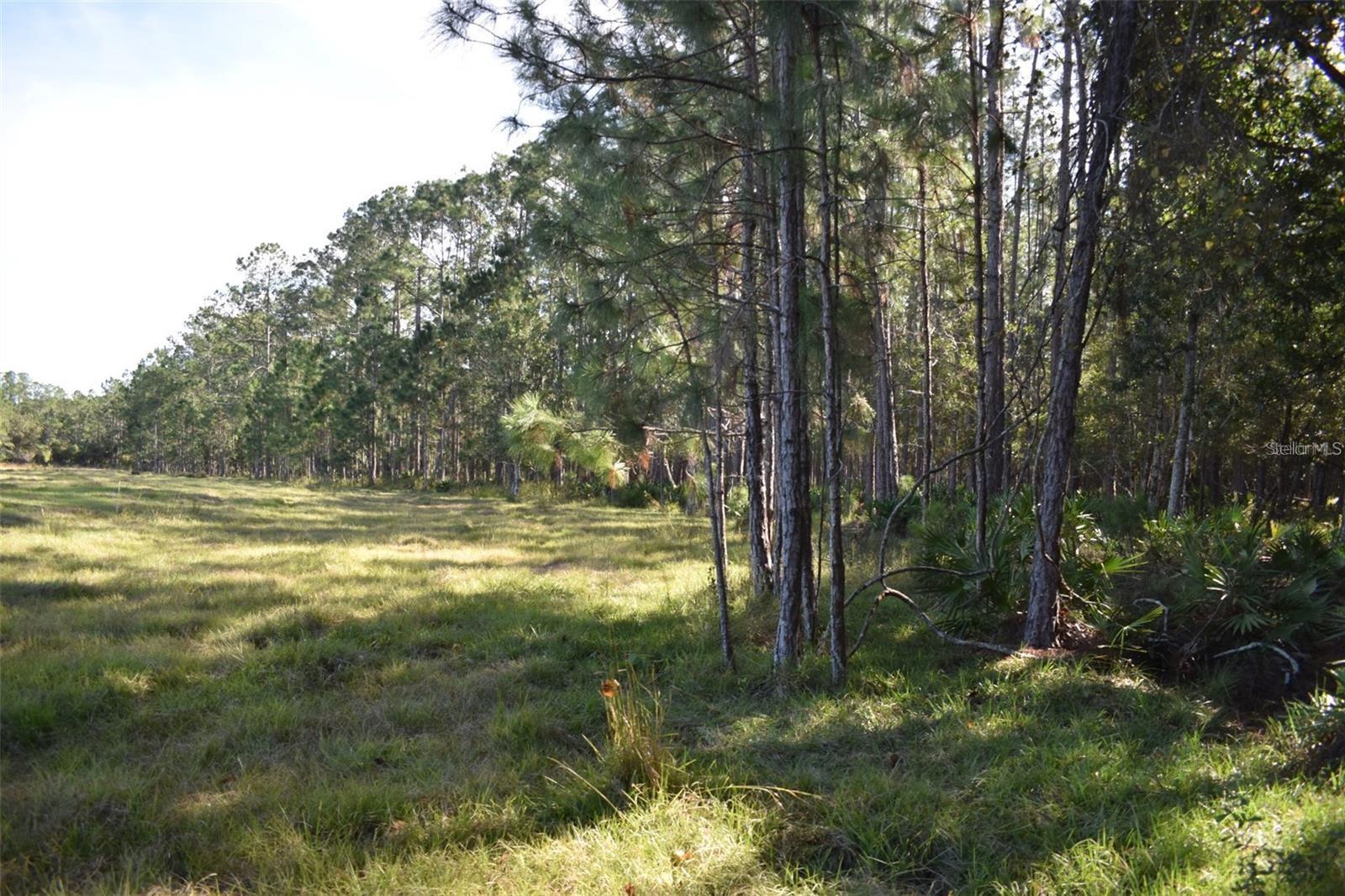 Land at BERRY GROVES RD DR, CLERMONT, photo 12 of 18