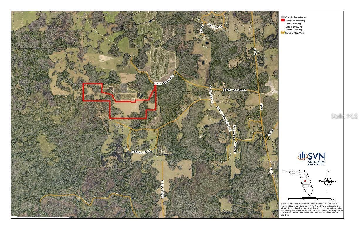 Land at BERRY GROVES RD DR, CLERMONT, photo 16 of 18