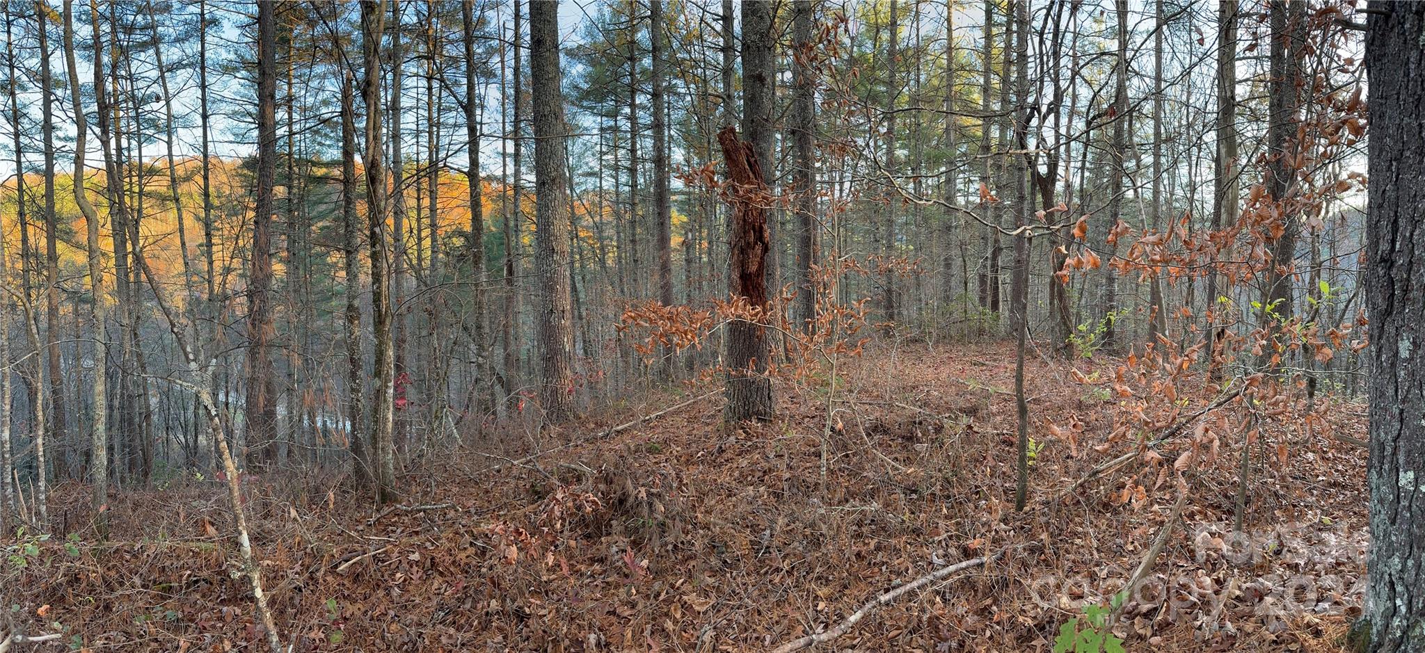 Lot at 00 Sky Ridge Drive, Bryson City, photo 3 of 14