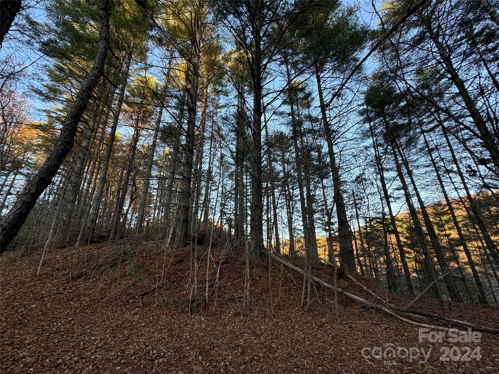 Lot at 00 Sky Ridge Drive, Bryson City, photo 4 of 14