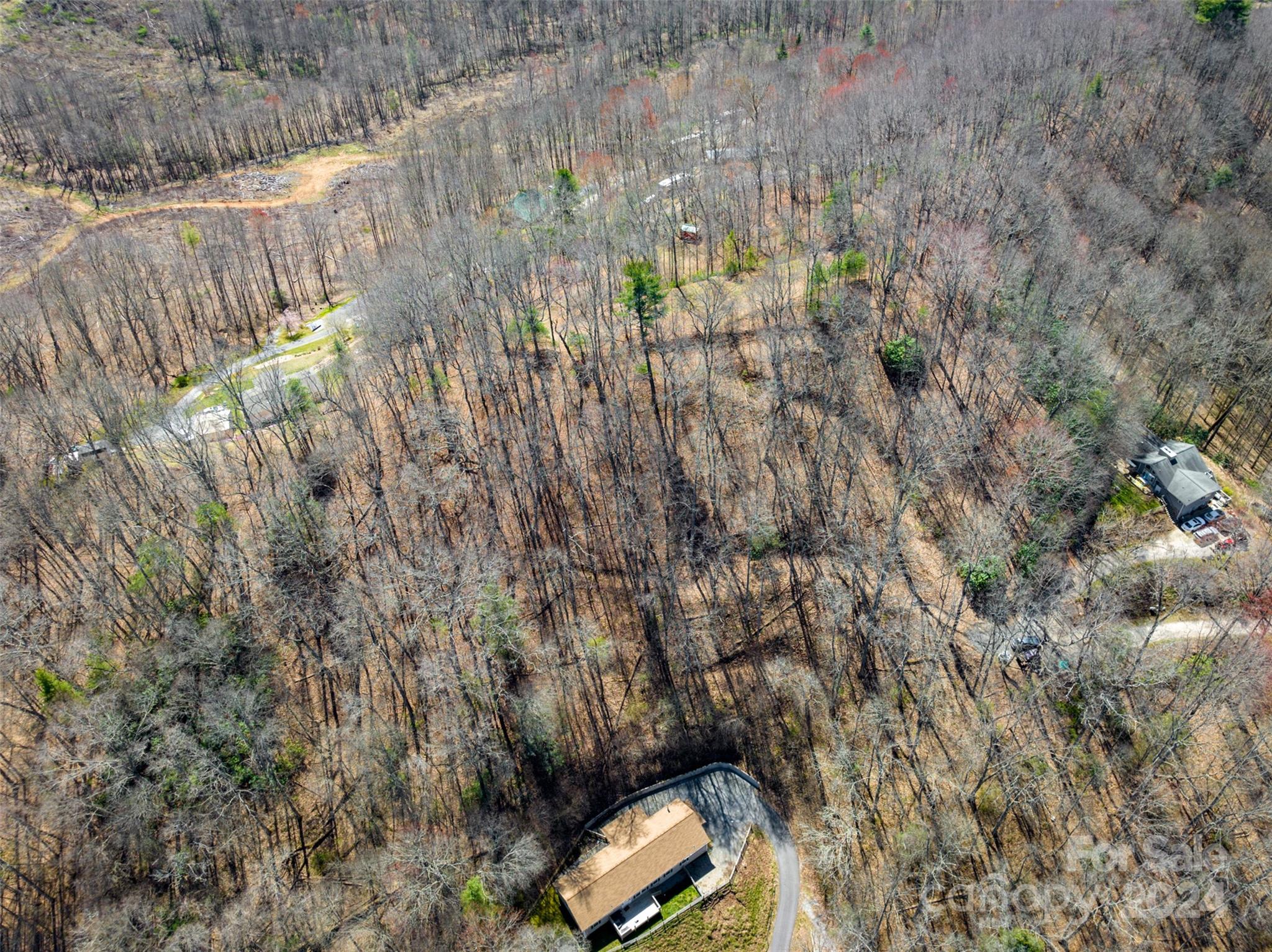 Lot at 0000 MINERVA Drive, Waynesville, photo 3 of 10