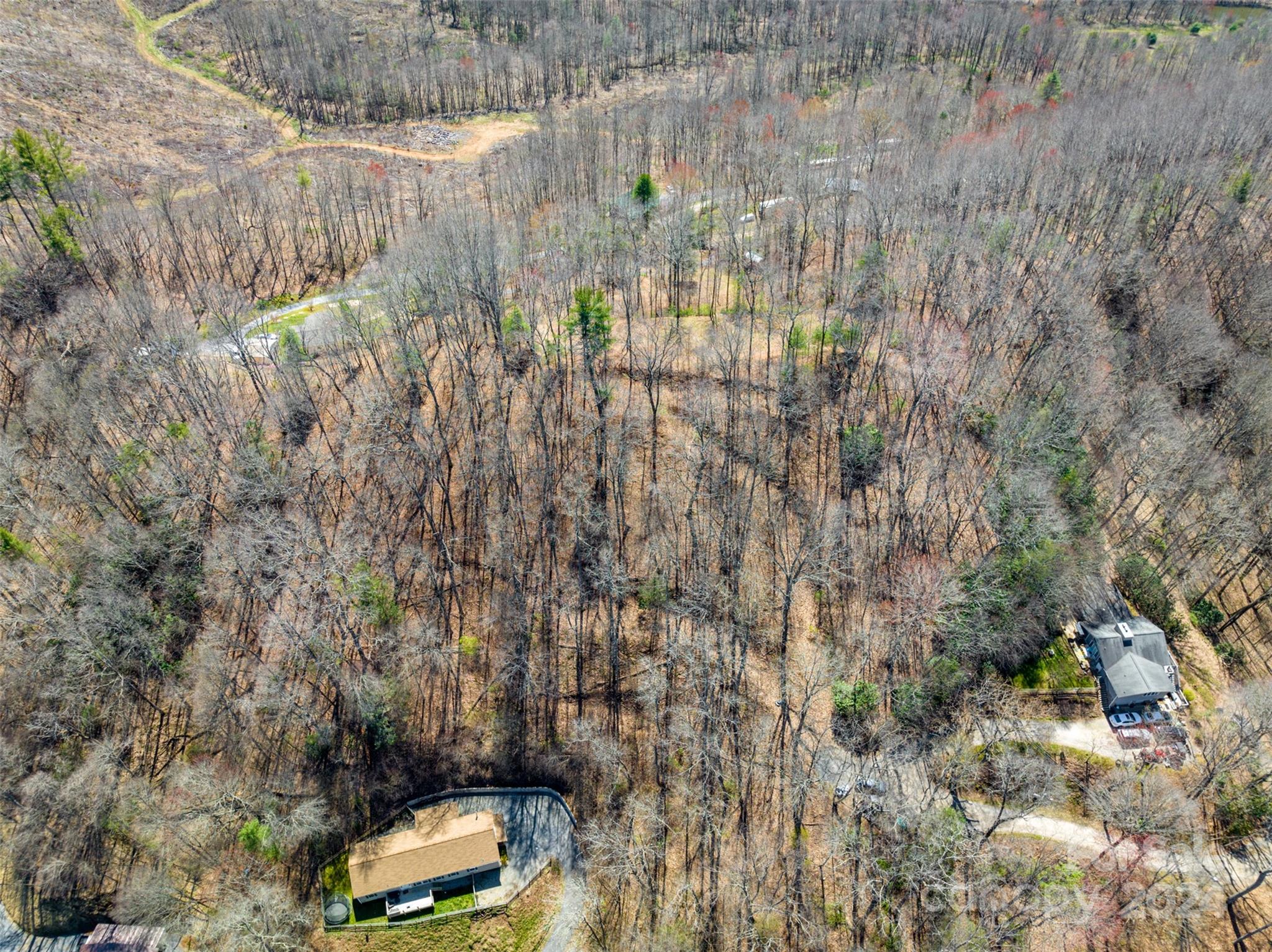 Lot at 0000 MINERVA Drive, Waynesville, photo 4 of 10